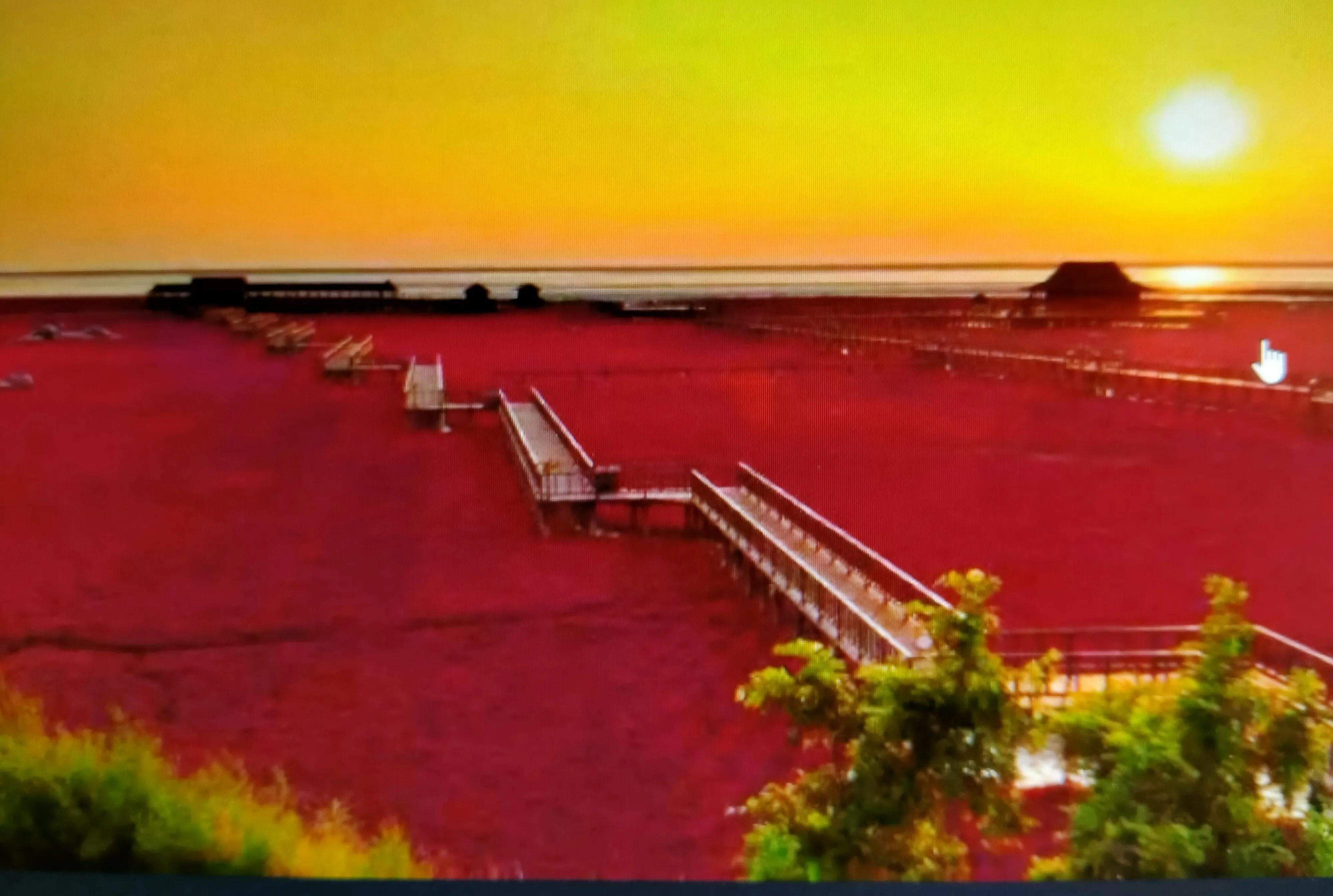 盘锦，亲爱的听众朋友们的故事与声音