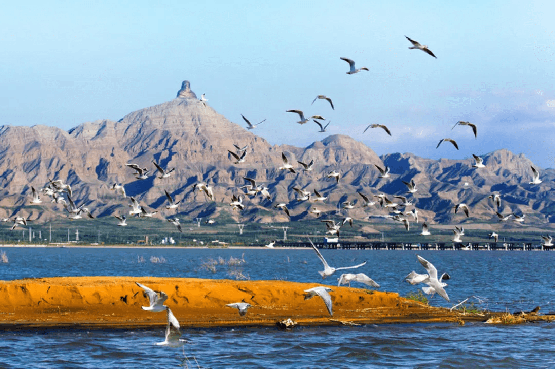 乌海，绿色崛起，见证中国绿色发展新篇章